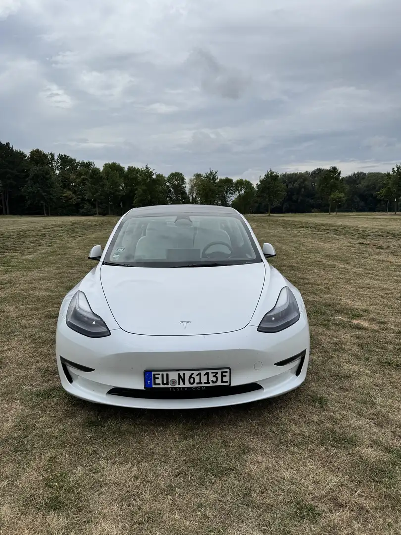 Tesla Model 3 Model 3 Allradantrieb Performance + Winterreifen Weiß - 2