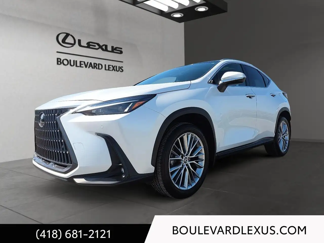 2024 Lexus NX