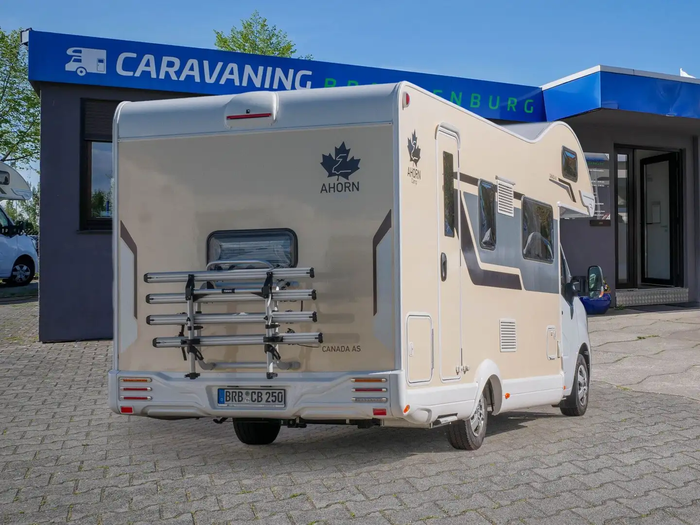 Ahorn Canada AS 6 Gurtplätze Stockbetten SAT Beige - 2
