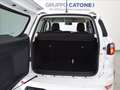 Ford EcoSport 1.0 ecoboost ST-Line s&s 125cv Bianco - thumbnail 9