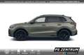 Volkswagen Tiguan R-Line 2.0 TDI HD Matrix Bluetooth Navi LED Grün - thumbnail 18