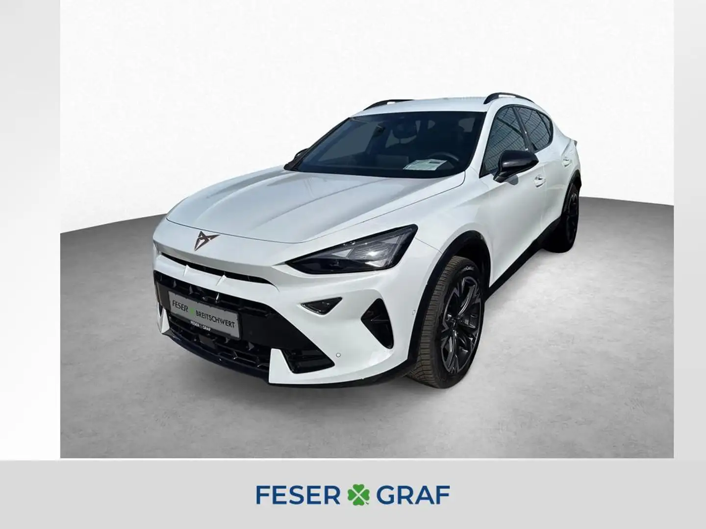 CUPRA Formentor 1.5 eTSI 7-Gang DSG/Edge/SHZ/RFK - 1