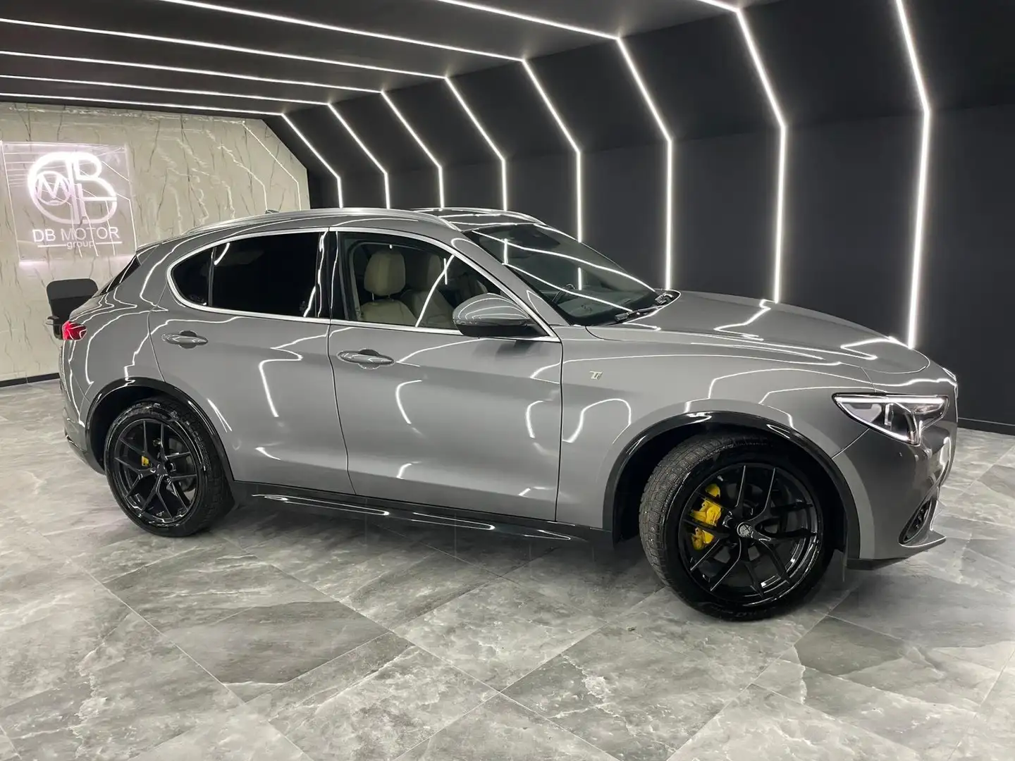 Alfa Romeo Stelvio 2.2 t Ti Q4 210cv auto Gris - 2