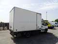 Iveco Daily 35 C14G 3.0 METANO CELLA ISOTERMICA 7 EP FRCX -20 Bianco - thumbnail 9