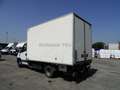 Iveco Daily 35 C14G 3.0 METANO CELLA ISOTERMICA 7 EP FRCX -20 Bianco - thumbnail 7