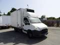 Iveco Daily 35 C14G 3.0 METANO CELLA ISOTERMICA 7 EP FRCX -20 Bianco - thumbnail 1