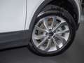 Volkswagen T-Roc 1.5 TSI DSG Style AHK LED Navi Sitzhzg. Weiß - thumbnail 6