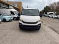 Iveco Daily 33S13 DOPPIA CABINA 7 POSTI Bianco - thumbnail 2