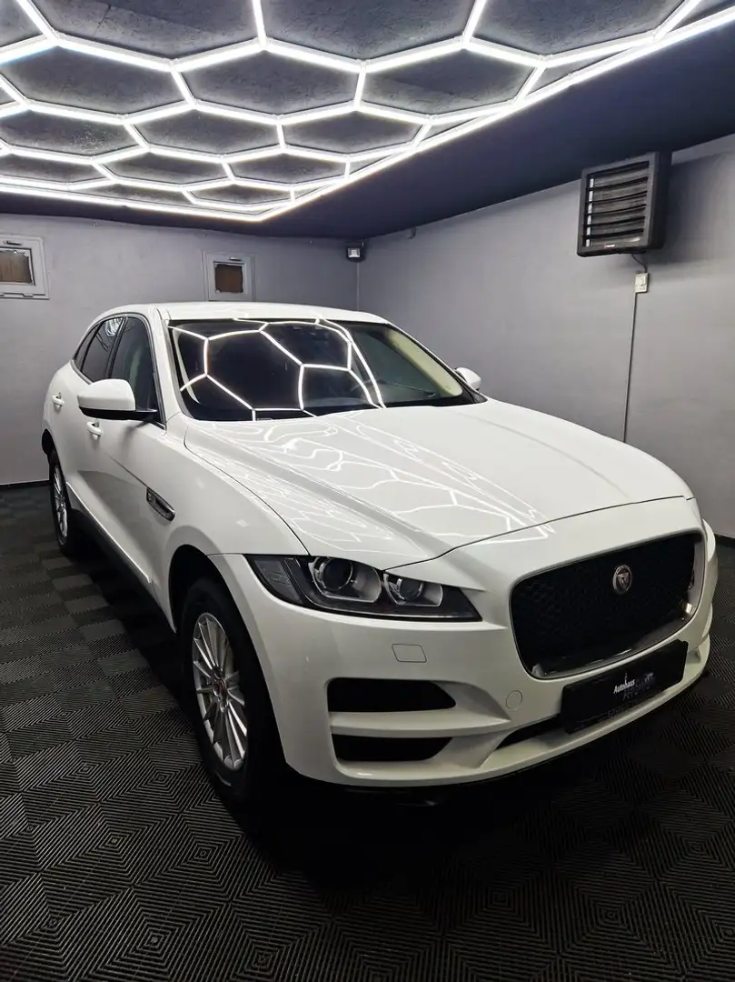 Jaguar F-Pace Prestige|LEDER|NAVI|BI-XENON|LM FELGEN Blanc - 2