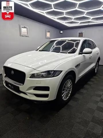 Jaguar F-Pace Prestige|LEDER|NAVI|BI-XENON|LM FELGEN