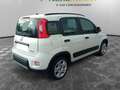 Fiat Panda Panda 1.0 FireFly S&S Hybrid City Life Bianco - thumbnail 5