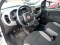 Fiat Panda Panda 1.0 FireFly S&S Hybrid City Life Bianco - thumbnail 11