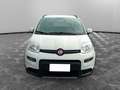 Fiat Panda Panda 1.0 FireFly S&S Hybrid City Life Bianco - thumbnail 8