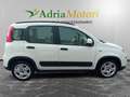 Fiat Panda Panda 1.0 FireFly S&S Hybrid City Life Bianco - thumbnail 6