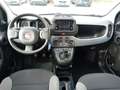 Fiat Panda Panda 1.0 FireFly S&S Hybrid City Life Bianco - thumbnail 14