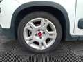 Fiat Panda Panda 1.0 FireFly S&S Hybrid City Life Bianco - thumbnail 10