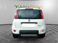 Fiat Panda Panda 1.0 FireFly S&S Hybrid City Life Bianco - thumbnail 4