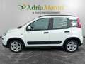 Fiat Panda Panda 1.0 FireFly S&S Hybrid City Life Bianco - thumbnail 2