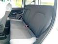 Fiat Panda Panda 1.0 FireFly S&S Hybrid City Life Bianco - thumbnail 12