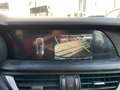 Alfa Romeo Stelvio 2.2 TDI Business RWD 160CV AT8 Nero - thumbnail 13