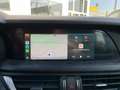 Alfa Romeo Stelvio 2.2 TDI Business RWD 160CV AT8 Nero - thumbnail 14