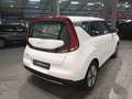 Kia Soul e-Soul Edition 7 LED|App|Rückfahrkamera|ACC Weiß - thumbnail 5