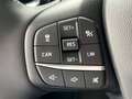 Ford Fiesta Active 1.0l M-Hybrid Navi ACC Winter-Paket Grau - thumbnail 14