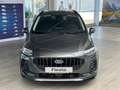 Ford Fiesta Active 1.0l M-Hybrid Navi ACC Winter-Paket Grau - thumbnail 3