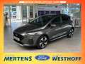Ford Fiesta Active 1.0l M-Hybrid Navi ACC Winter-Paket Grau - thumbnail 1