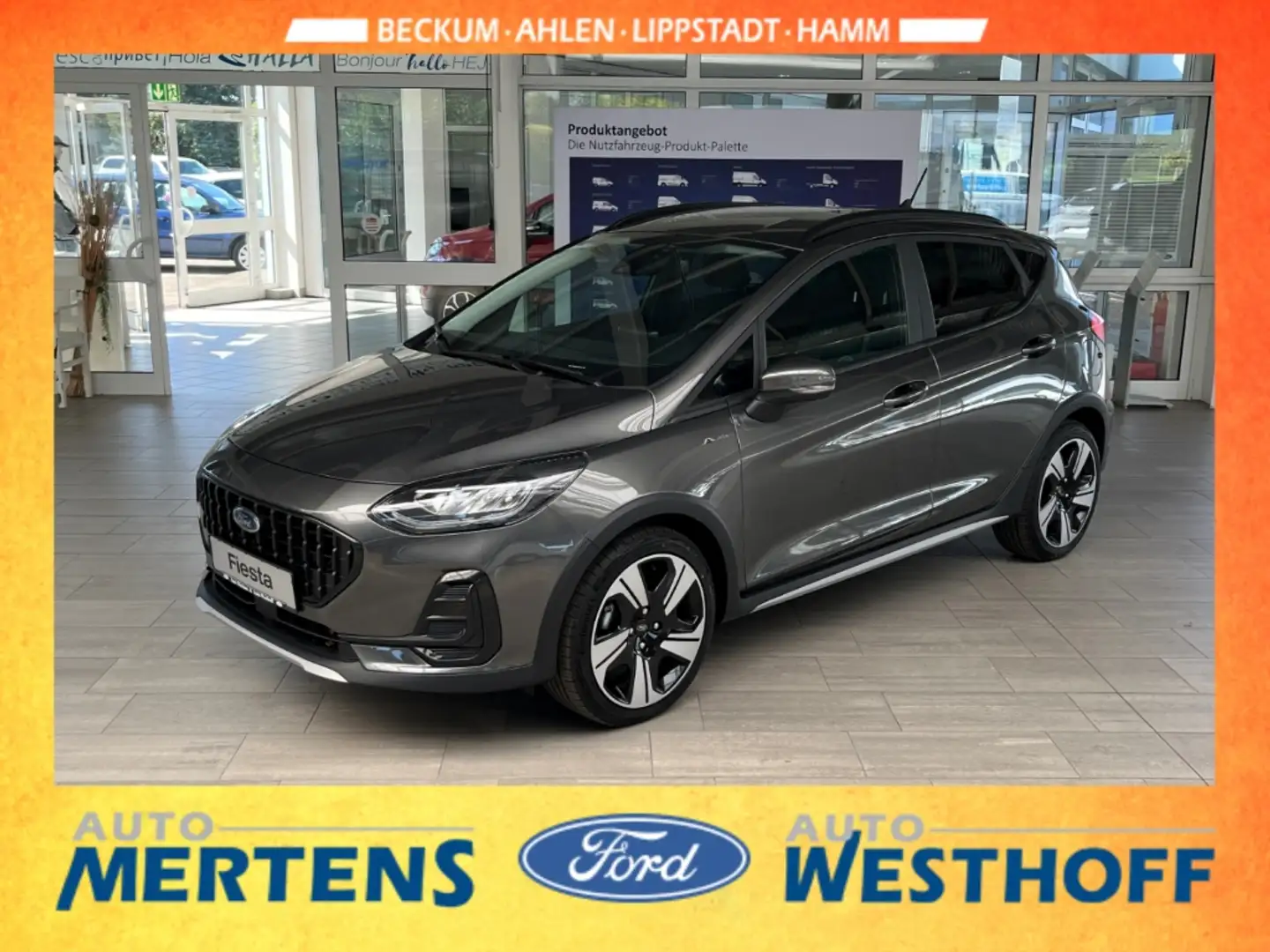 Ford Fiesta Active 1.0l M-Hybrid Navi ACC Winter-Paket Grau - 1