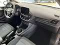 Ford Fiesta Active 1.0l M-Hybrid Navi ACC Winter-Paket Grau - thumbnail 10
