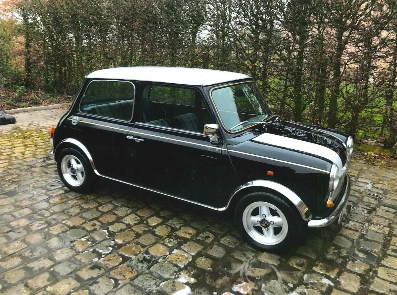 MINI 1000, foto 6