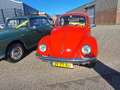 Volkswagen Kever Winterkever / Mexico kever / Nieuwe APK Rojo - thumbnail 12