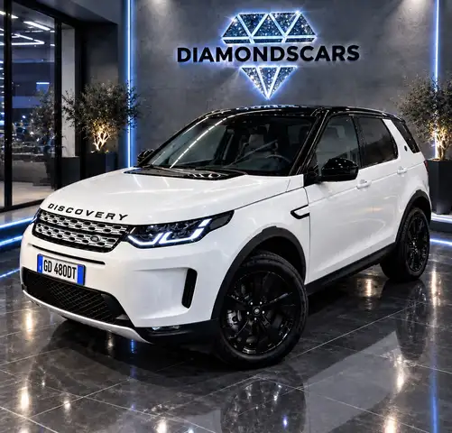 Land Rover Discovery Sport Discovery Sport 2.0D I4-L.Flw 150 CV AWD Auto S IV