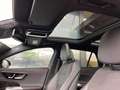 Mercedes-Benz E 300 de 4MATIC AMG/Pano Noir - thumbnail 12