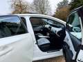 Toyota Prius PHEV 1.8i VVT-i Premium HYBRID CVT FULL OPTIONS Weiß - thumbnail 21