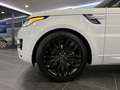 Land Rover Range Rover Sport 3,0 TDV6 HSE Dynamic*PANORAMA*LUFT*21" FELGEN*S... Weiß - thumbnail 7