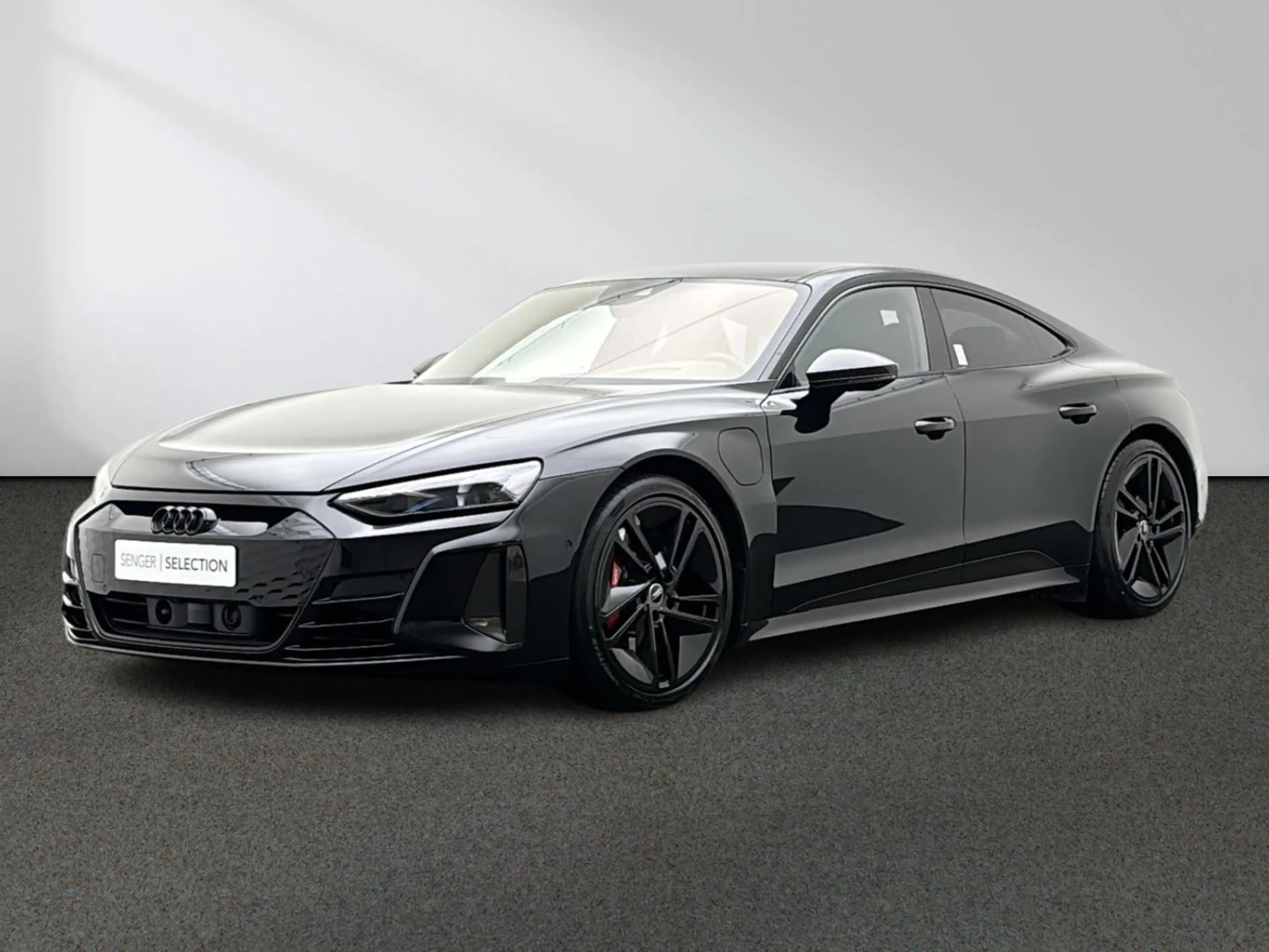 Audi RS e-tron GT Pano B&O ACC HUD — photo 14