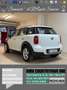 MINI One Countryman Mini Countryman R60 1.6 16v 98cv benz/gpl Bílá - thumbnail 10