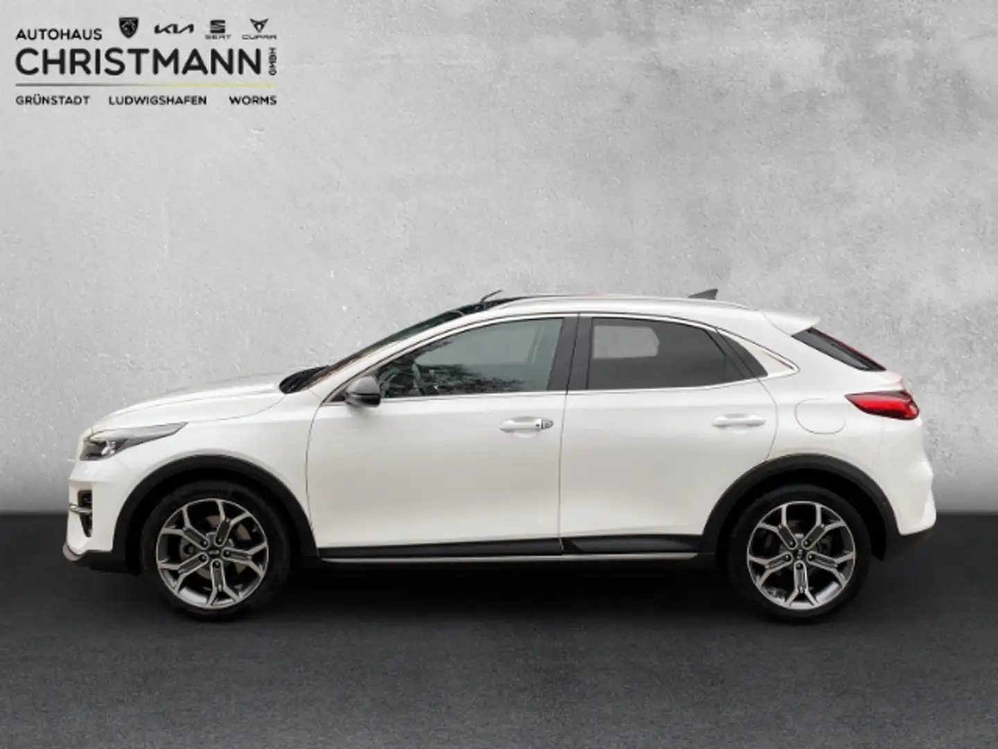 Kia XCeed XCEED PLATINUM EDITION 1.4 T-GDI EU6d-T *PANORAMAG Blanco - 2