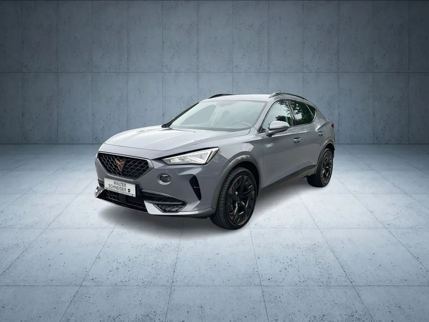 CUPRA Formentor 1.5 TSI Navi LED ACC Grau - 2