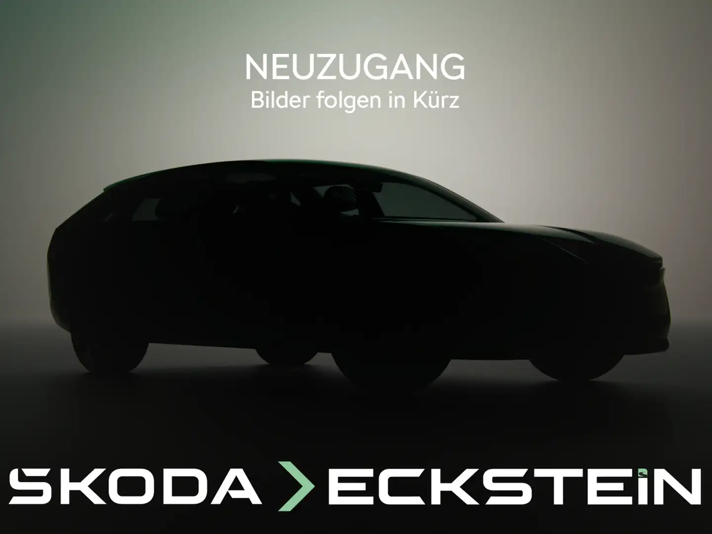 Skoda Kamiq Style Braun - 1