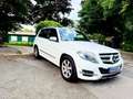 Mercedes-Benz GLK 220 GLK 220 CDI (BlueEFFICIENCY) 7G-TRONIC Weiß - thumbnail 4