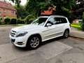 Mercedes-Benz GLK 220 GLK 220 CDI (BlueEFFICIENCY) 7G-TRONIC Weiß - thumbnail 3
