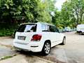 Mercedes-Benz GLK 220 GLK 220 CDI (BlueEFFICIENCY) 7G-TRONIC Weiß - thumbnail 11