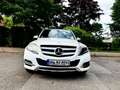 Mercedes-Benz GLK 220 GLK 220 CDI (BlueEFFICIENCY) 7G-TRONIC Weiß - thumbnail 10