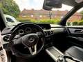 Mercedes-Benz GLK 220 GLK 220 CDI (BlueEFFICIENCY) 7G-TRONIC Weiß - thumbnail 6