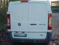 Fiat Scudo Biały - thumbnail 2