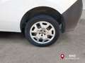 Fiat Doblo Doblò 1.3 MJT PL-TN Cargo Maxi SX +IVA Bianco - thumbnail 16