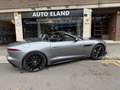 Jaguar F-Type Convertible 2.0 I4 R-Dynamic Aut. 300 Gris - thumbnail 9